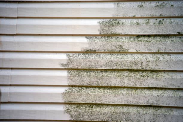 Best Same-Day Junk Removal Services  in Prospect Rk, PA